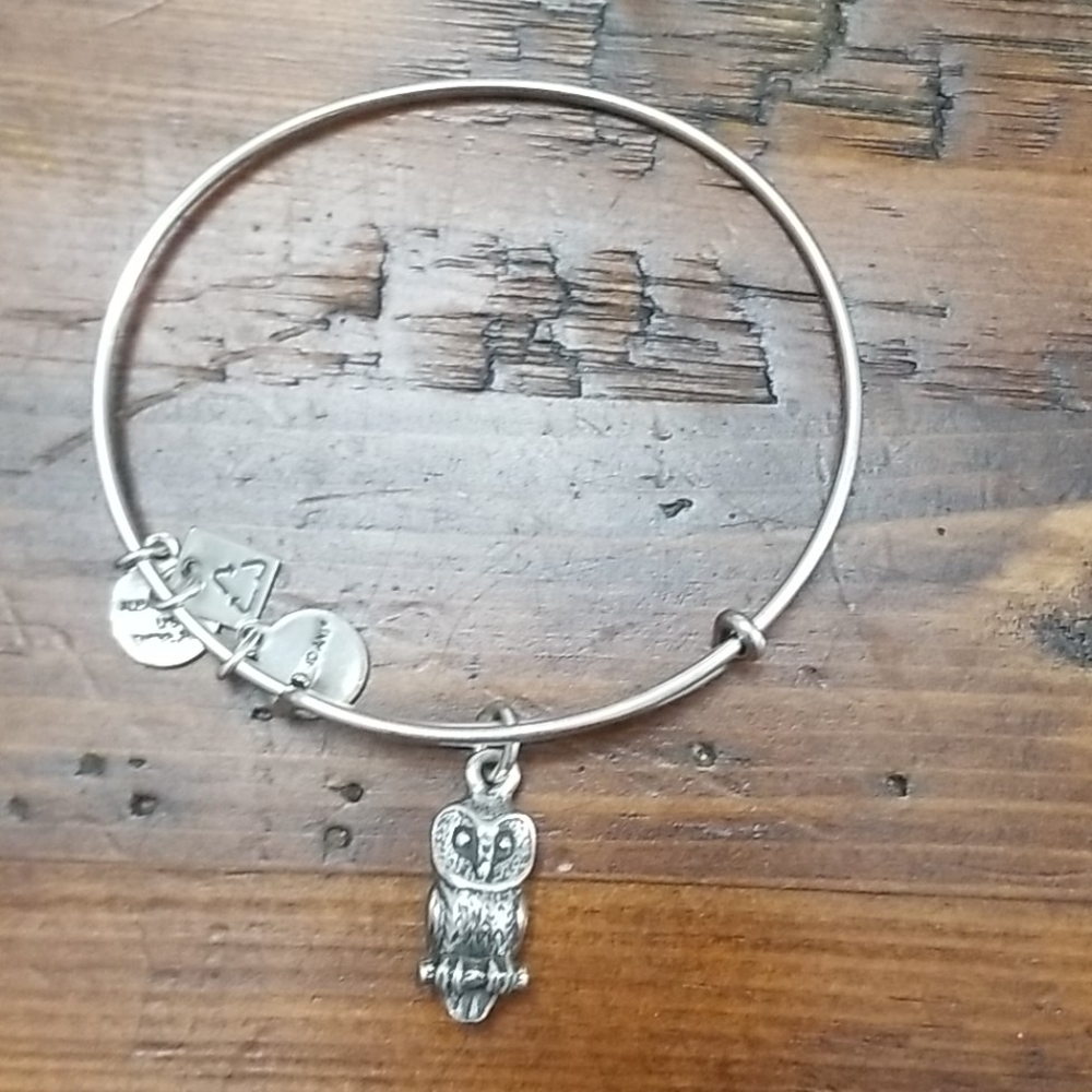 Alex and Ani Bangle